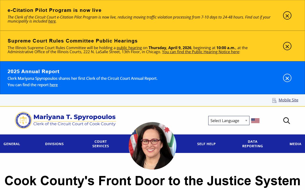 Cook County Clerk of the Circuit Court homepage for criminal records