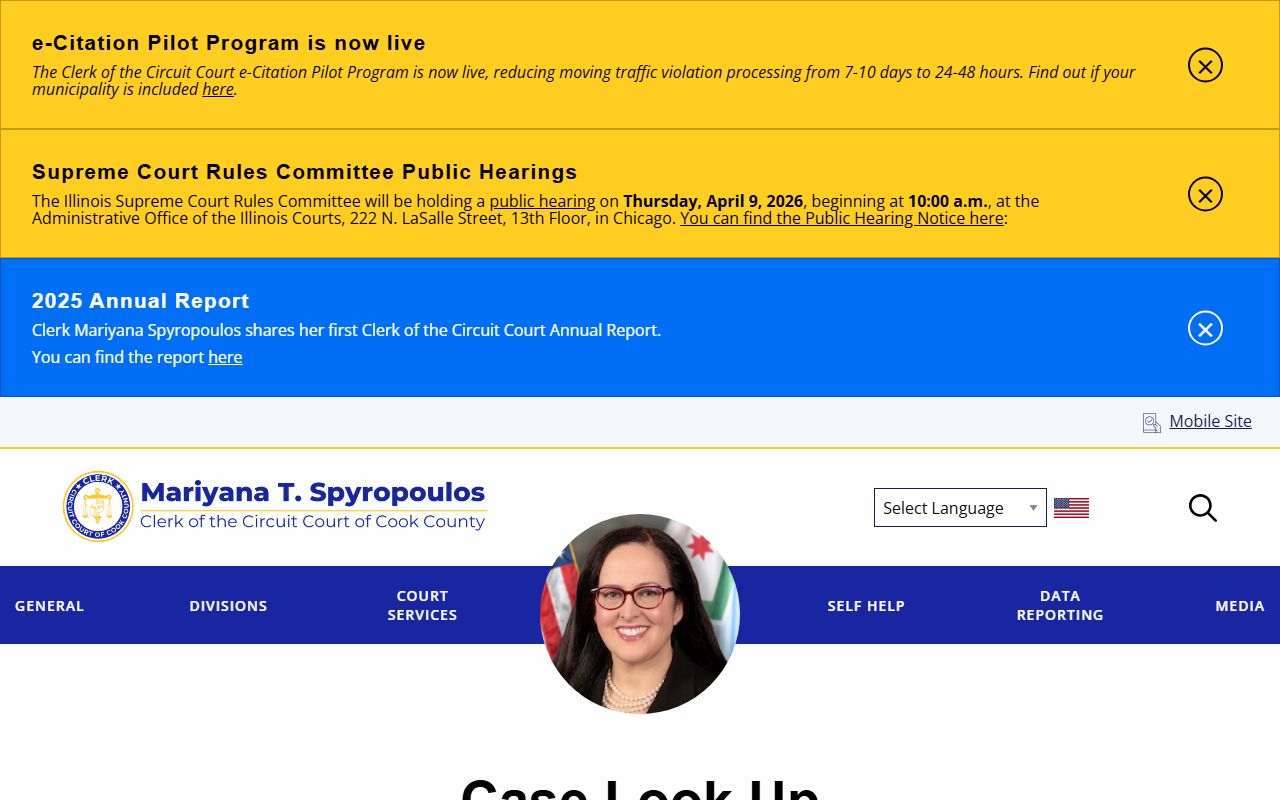 Cook County case lookup tool for court records search